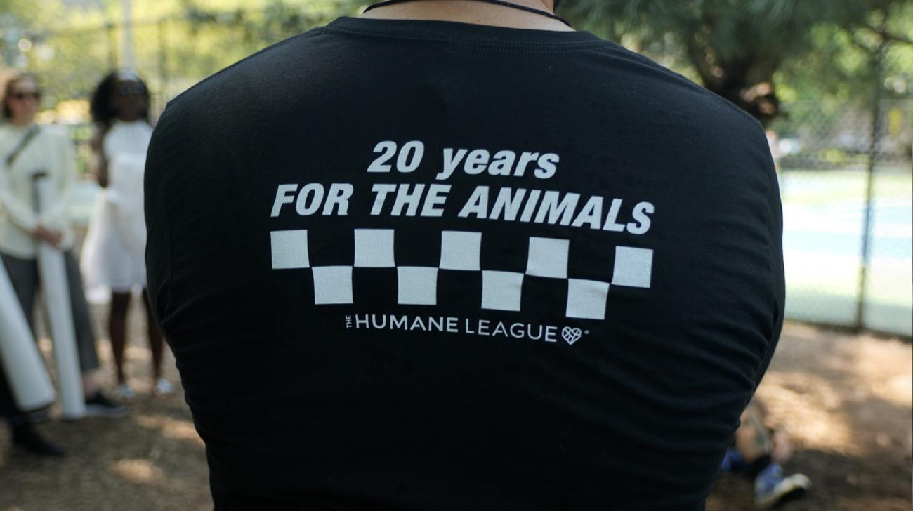 20 Years For The Animals
