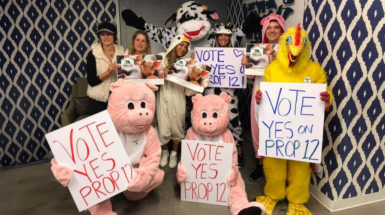 World’s strongest animal protection law passes in California.