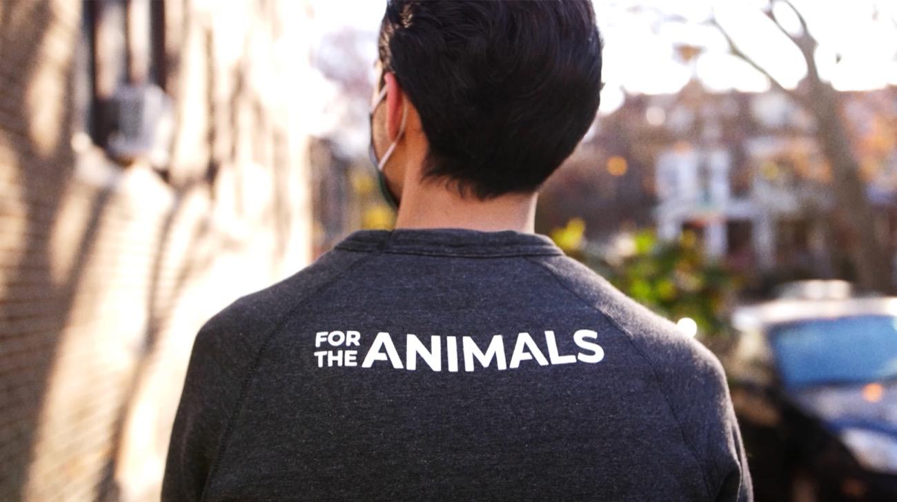 518,000 actions shake the industry—from home.