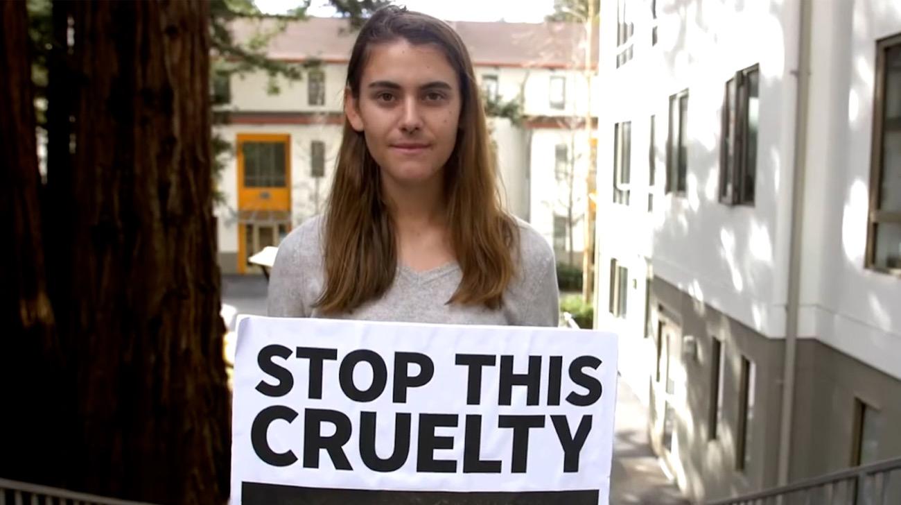 697,000 actions shake the industry.