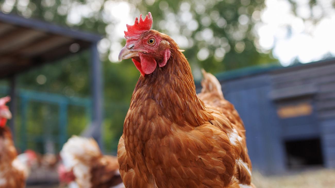 Challenging an ‘impossible’ status quo.