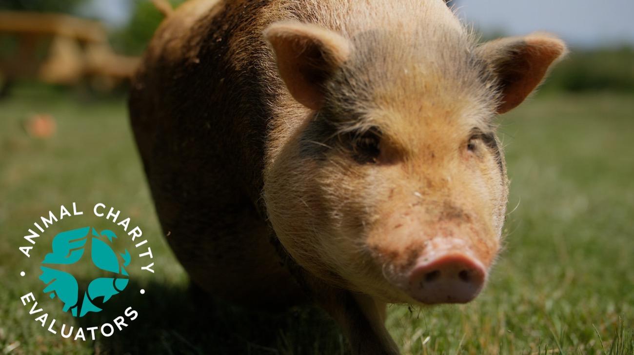 Science meets compassion.