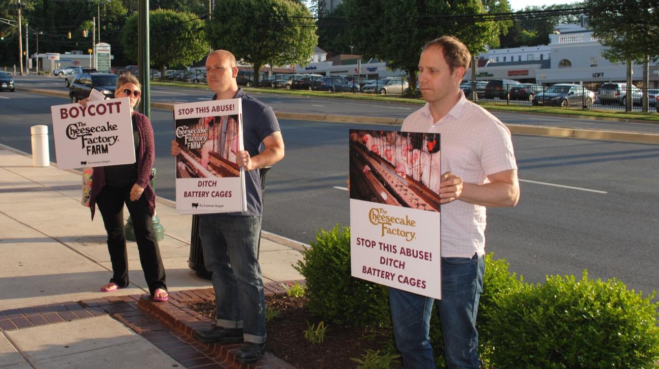 Industry giants abandon cruel cages, proving factory farming’s practices aren't inevitable.