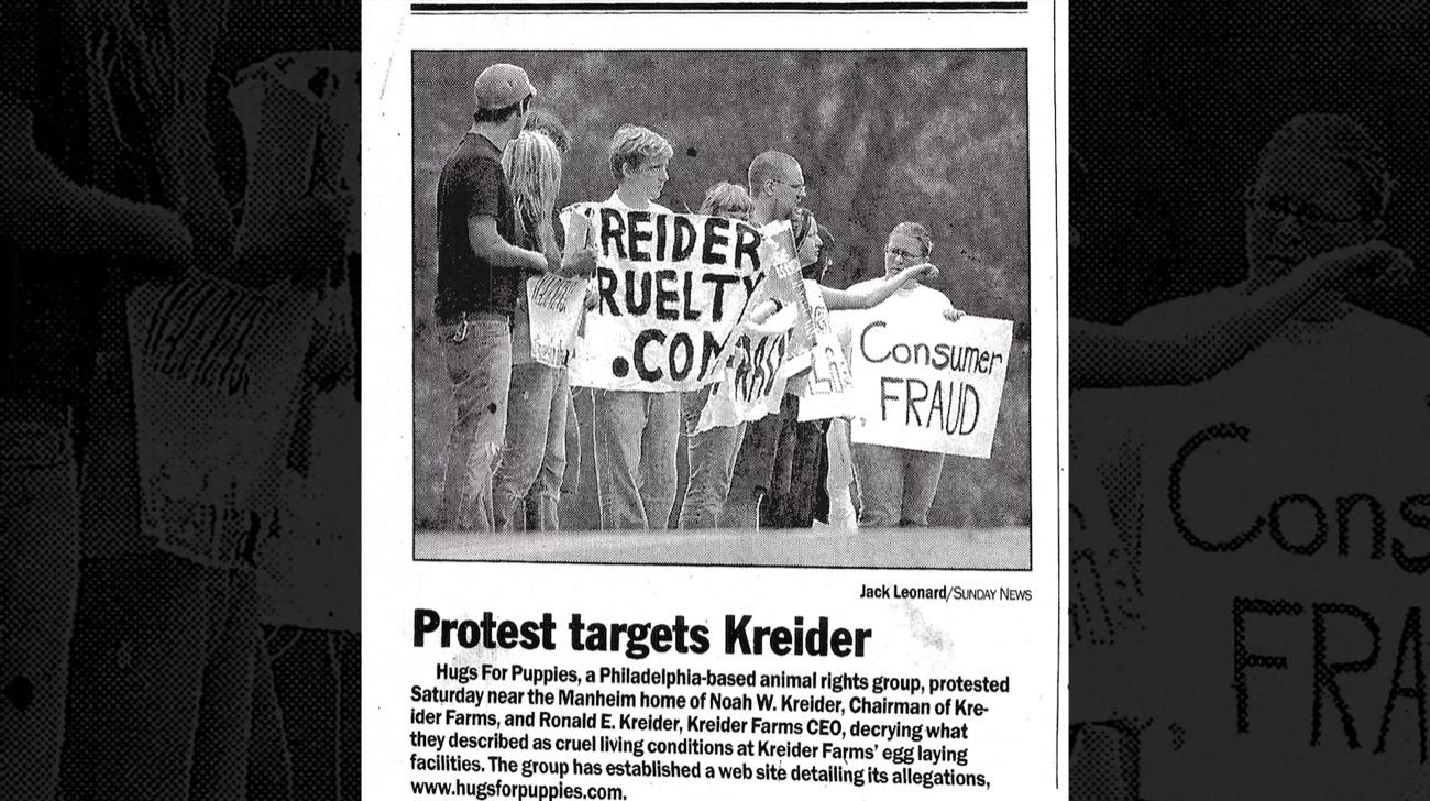 338 million hens trapped in cages—and a bold plan to transform the food system.